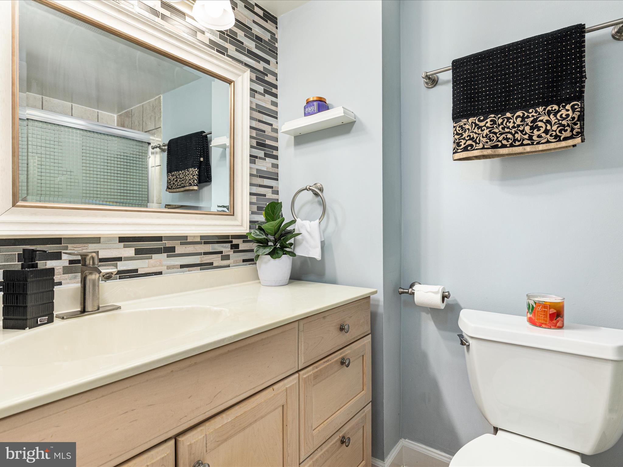 2303 Greenery Lane, Unit 2034 Silver Spring, MD 20906 - Photo 21 of 30 a bathroom with a sink a toilet and mirror