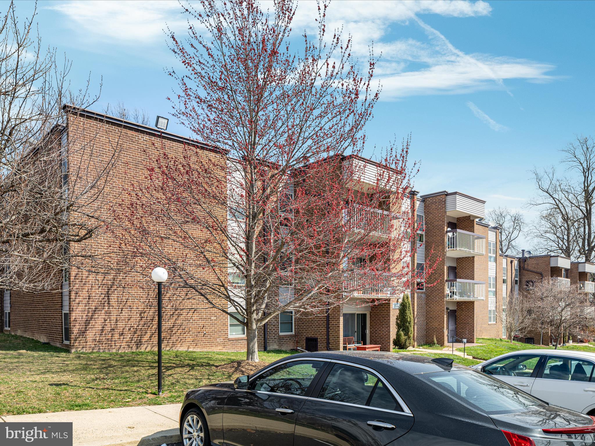 2303 Greenery Lane, Unit 2034 Silver Spring, MD 20906 - Photo 28 of 30 a view of a cars parked on the side of a road