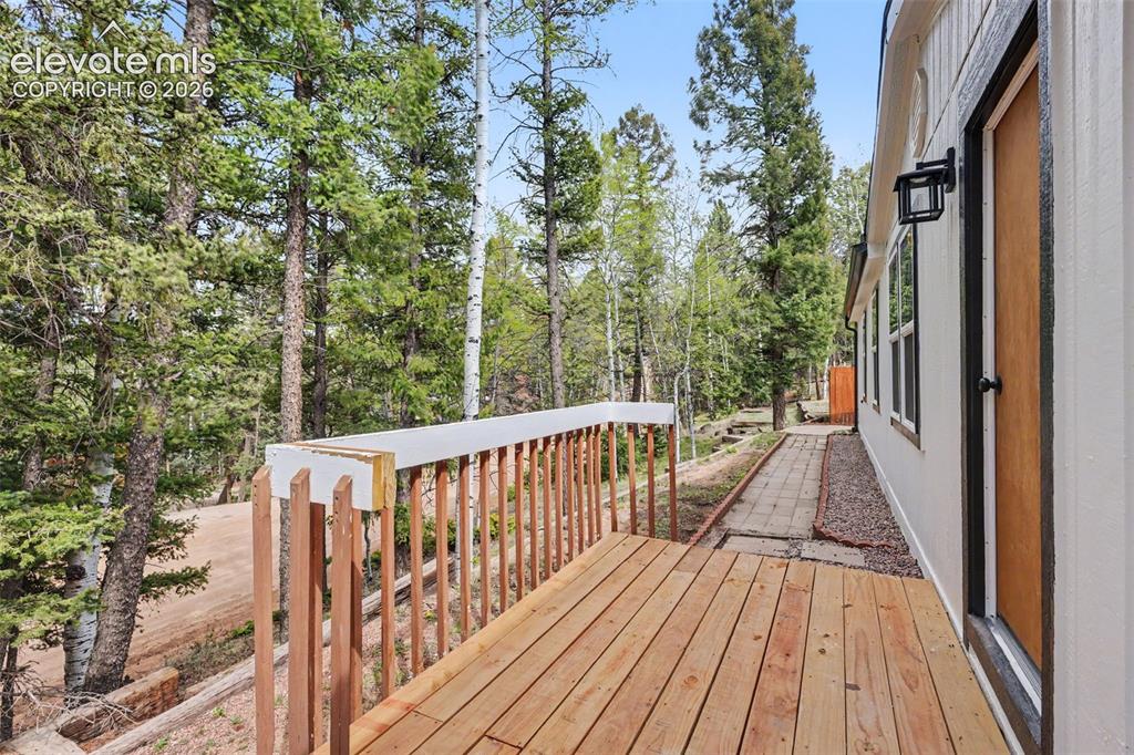 151 Banner Trail Florissant, CO 80816 - Photo 6 of 50