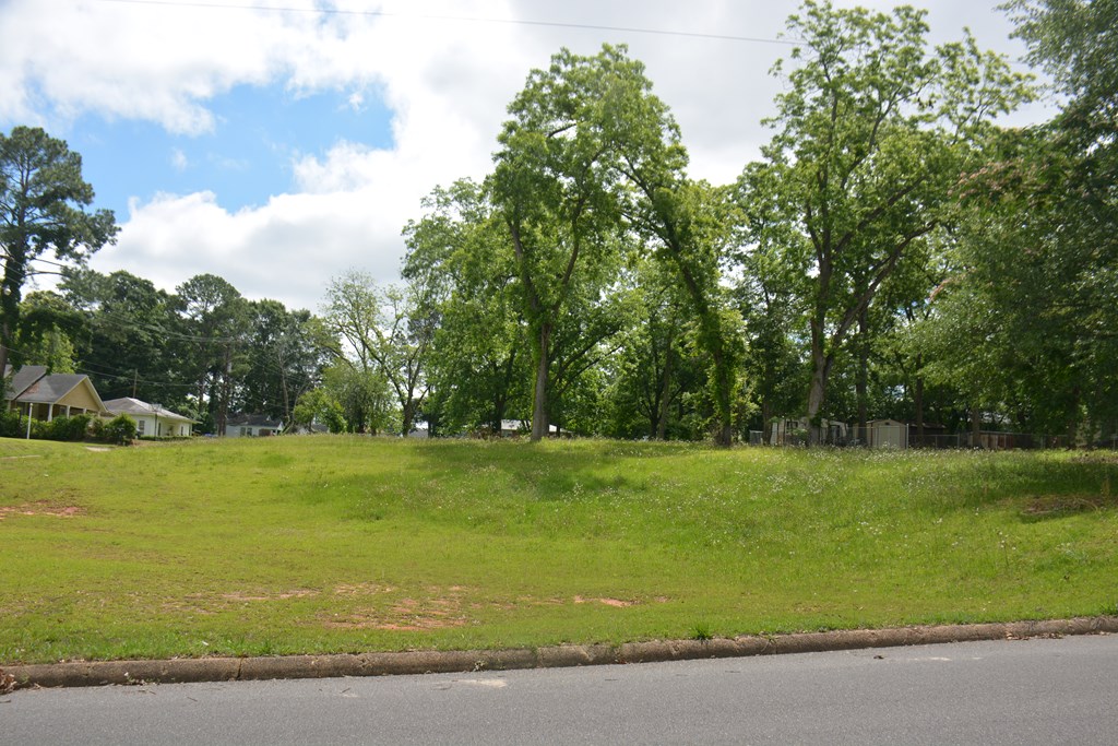 200 Banks Street Troy, AL 36081 - Photo 3 of 6