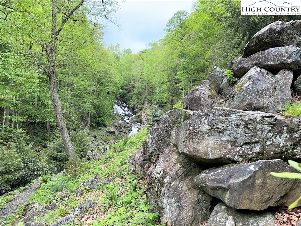 2583 Howard's Creek Road Boone, NC 28607 - Photo 20 of 50 Gallery Image 20
