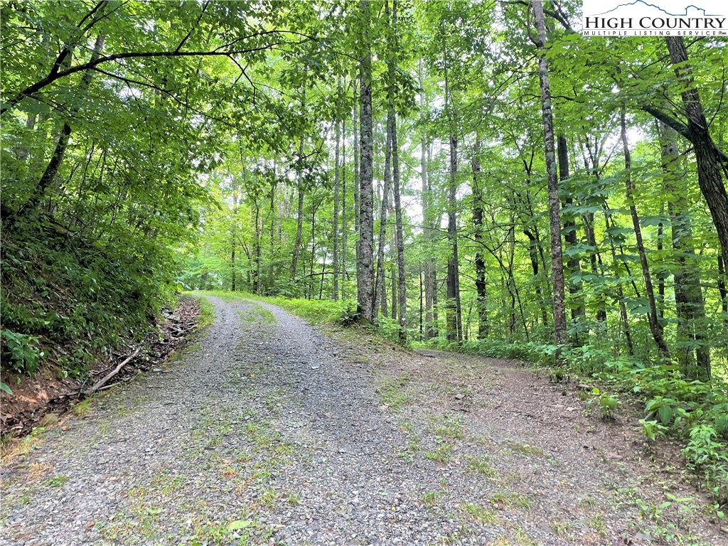 2583 Howard's Creek Road Boone, NC 28607 - Photo 50 of 50 Gallery Image 50