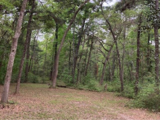 Xx Ridge Road Monticello, FL 32344 - Photo 8 of 19 Gallery Image 8