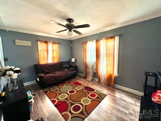 10 Romney Road Bound Brook, NJ 08805 - Photo 5 of 14 a living room with furniture and a window