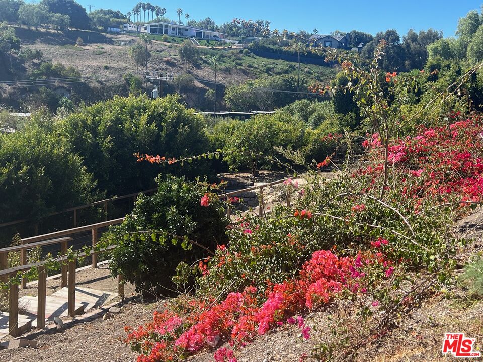 28908 Wight Road Malibu, CA 90265 - Photo 11 of 14