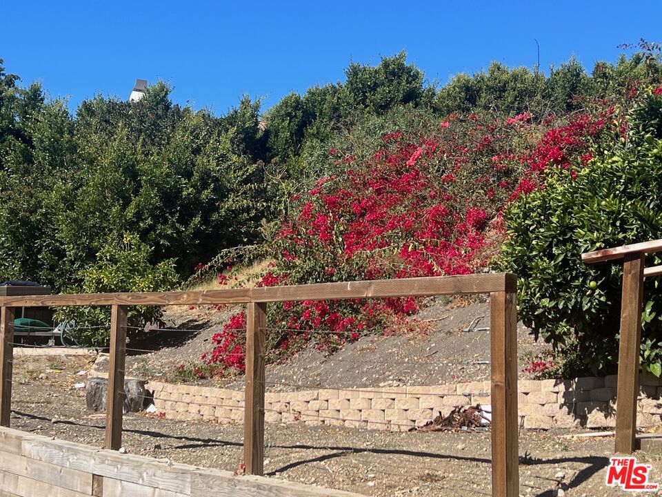 28908 Wight Road Malibu, CA 90265 - Photo 12 of 14