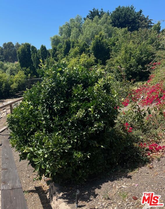 28908 Wight Road Malibu, CA 90265 - Photo 9 of 14