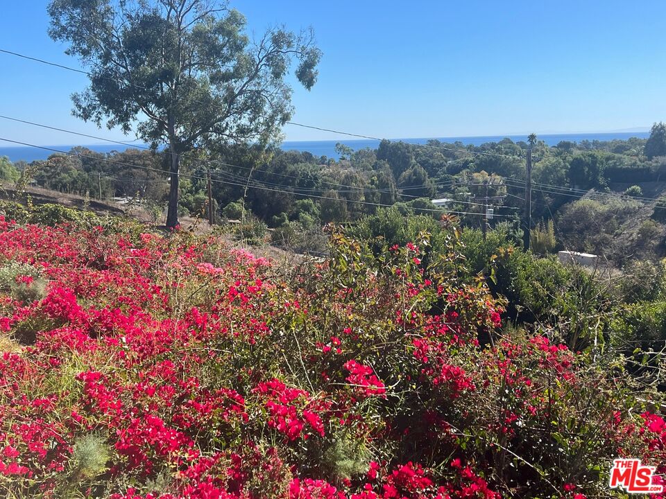 28908 Wight Road Malibu, CA 90265 - Photo 10 of 14