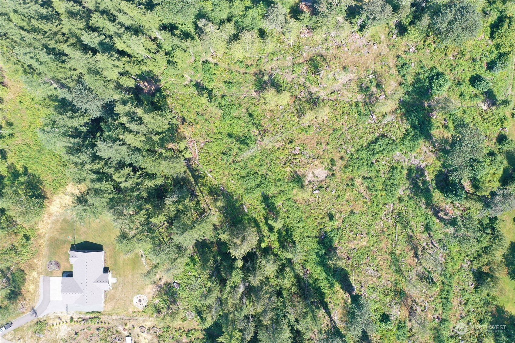 36016 Mann Road Sultan, WA 98294 - Photo 36 of 39 a view of a big yard with lots of bushes