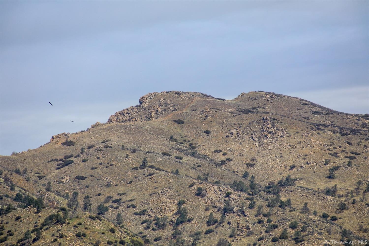 20836 Schout Road Tehachapi, CA 93561 - Photo 45 of 59 View of Indian Head Mountain!