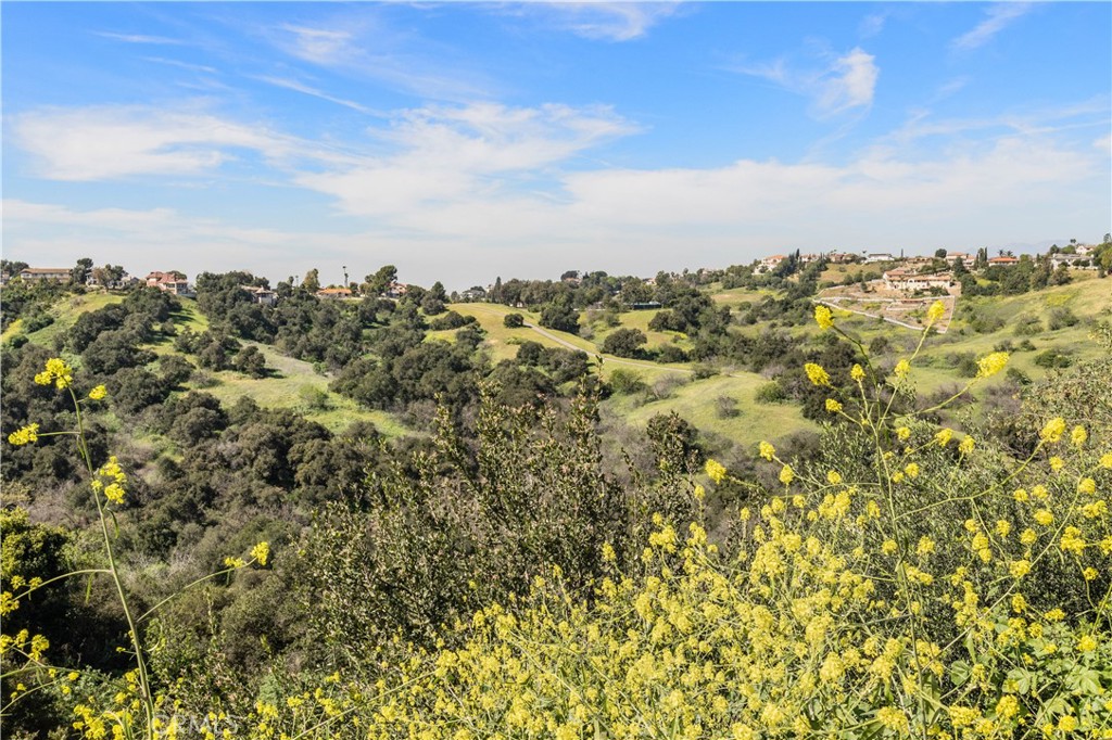 2605 Indian Creek Road Diamond Bar, CA 91765 - Photo 33 of 36