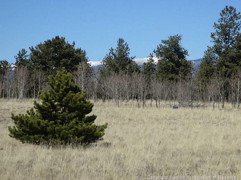 0 Yellowstone Road Hartsel, CO 80449 - Photo 1 of 16 a view of outdoor space and trees