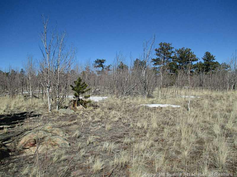 0 Yellowstone Road Hartsel, CO 80449 - Photo 14 of 16 a view of a dry yard with trees