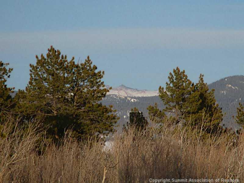 0 Yellowstone Road Hartsel, CO 80449 - Photo 4 of 16 a view of a lake with a tree in the background