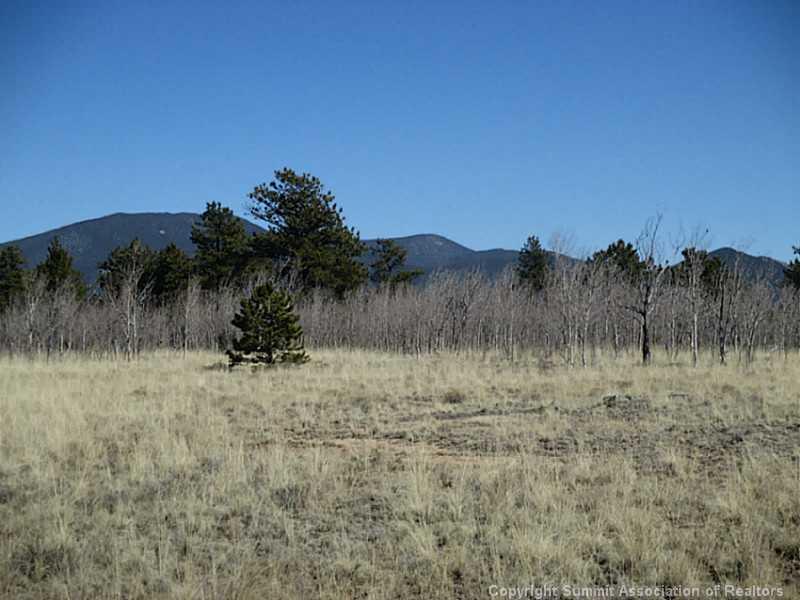 0 Yellowstone Road Hartsel, CO 80449 - Photo 7 of 16 a view of a dry yard with trees in the background
