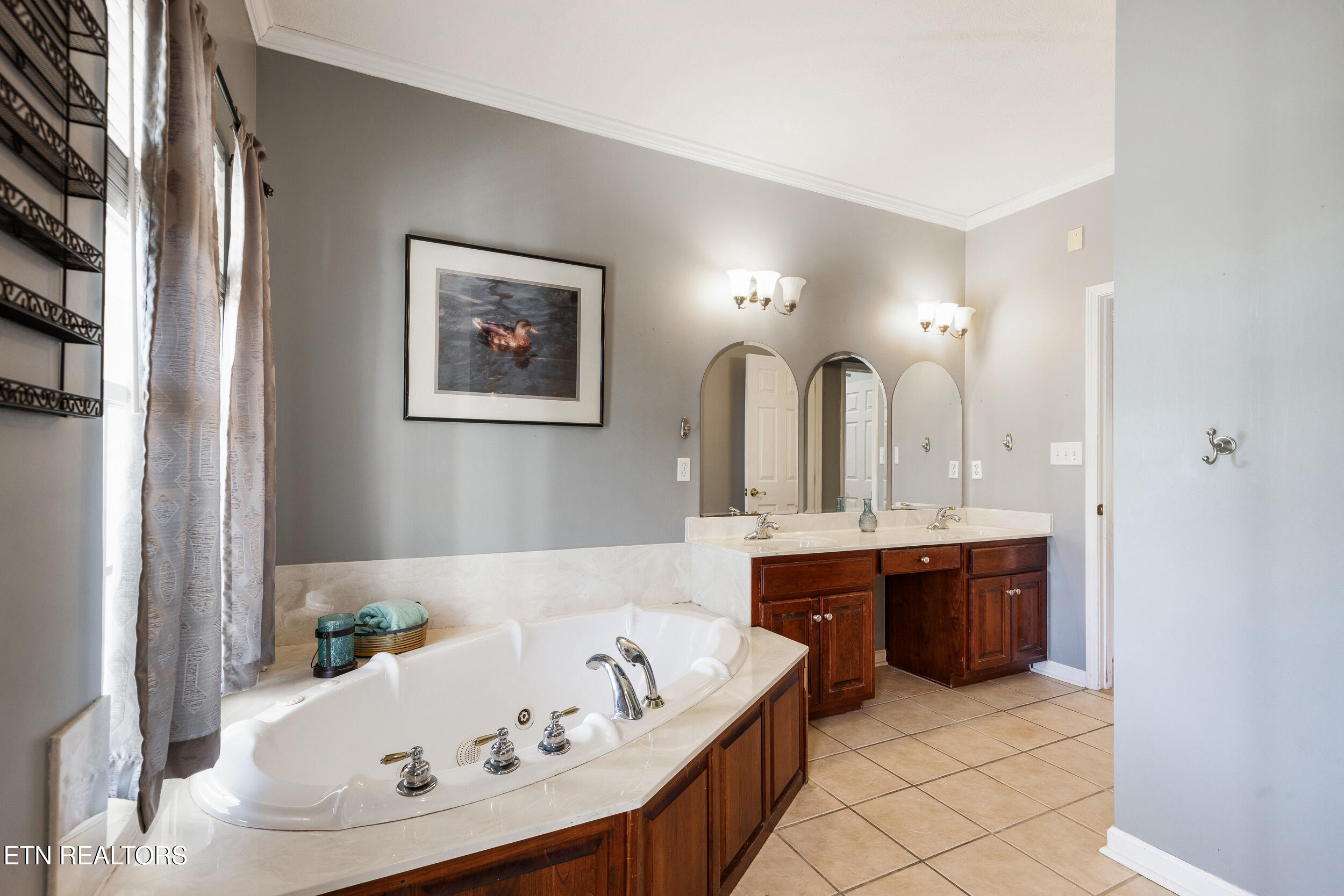 150 Morgan Field Road Wartburg, TN 37887 - Photo 21 of 47 Jacuzzi tub