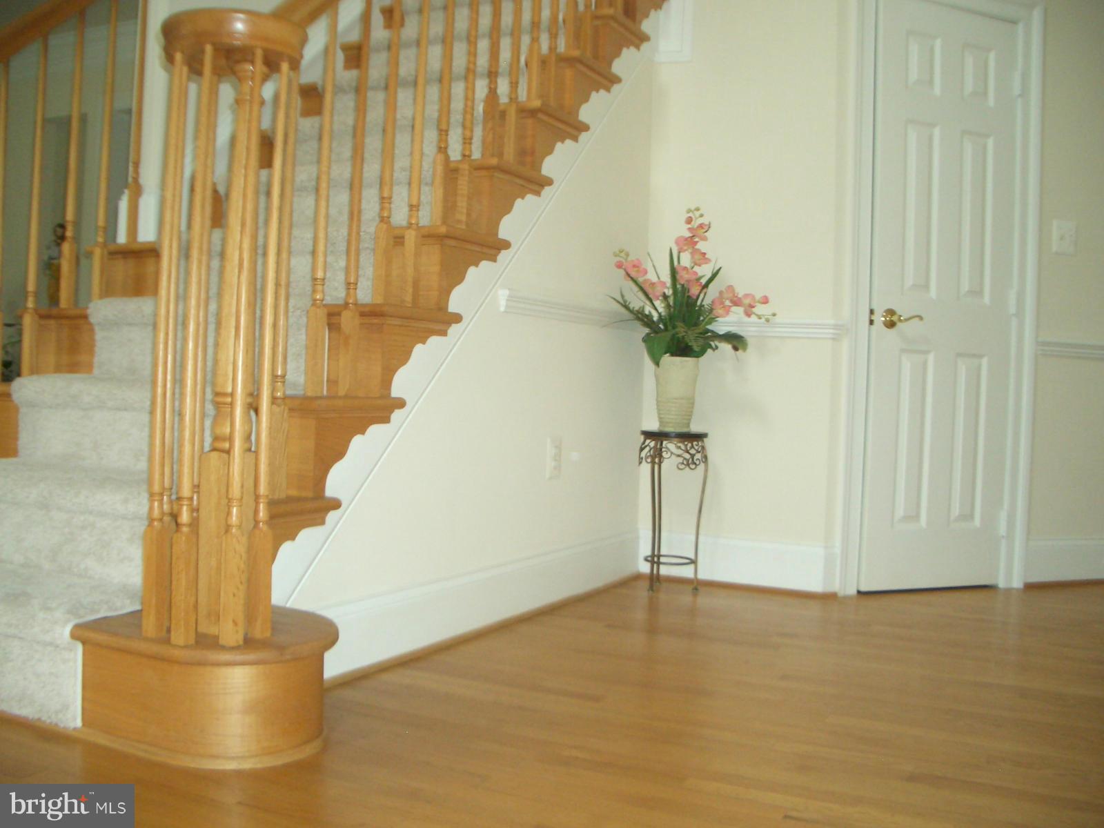 11357 Harding Road Laurel, MD 20723 - Photo 3 of 30 Interior (General)