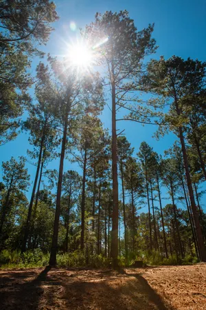 $175,000 | 6345 Cobbham Road, Appling, GA 30802