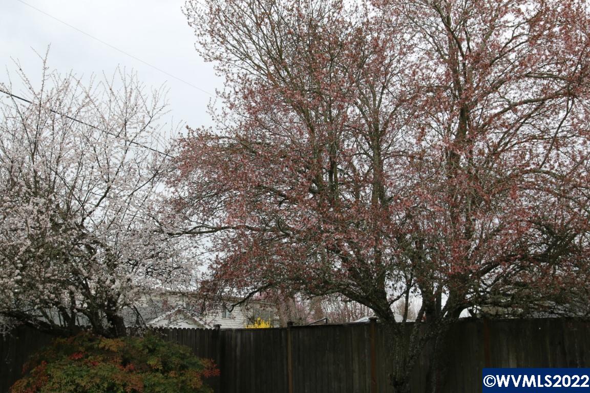 1320 Southwest Calapooia Street Albany, OR 97321 - Photo 29 of 34 Gallery Image 29