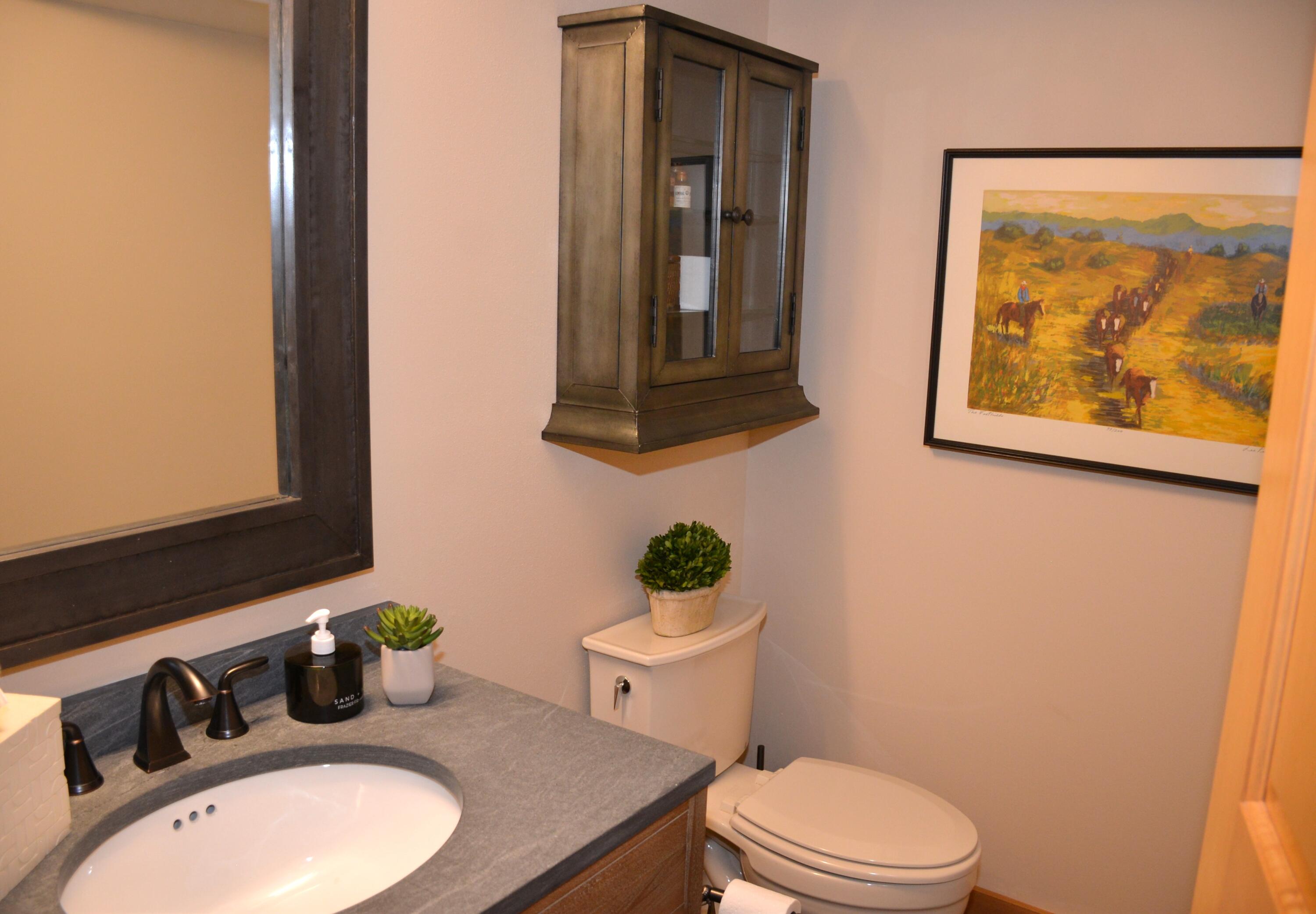 S79W29037 Frog Alley Road Mukwonago, WI 53149 - Photo 26 of 43 Lower Level Half Bath