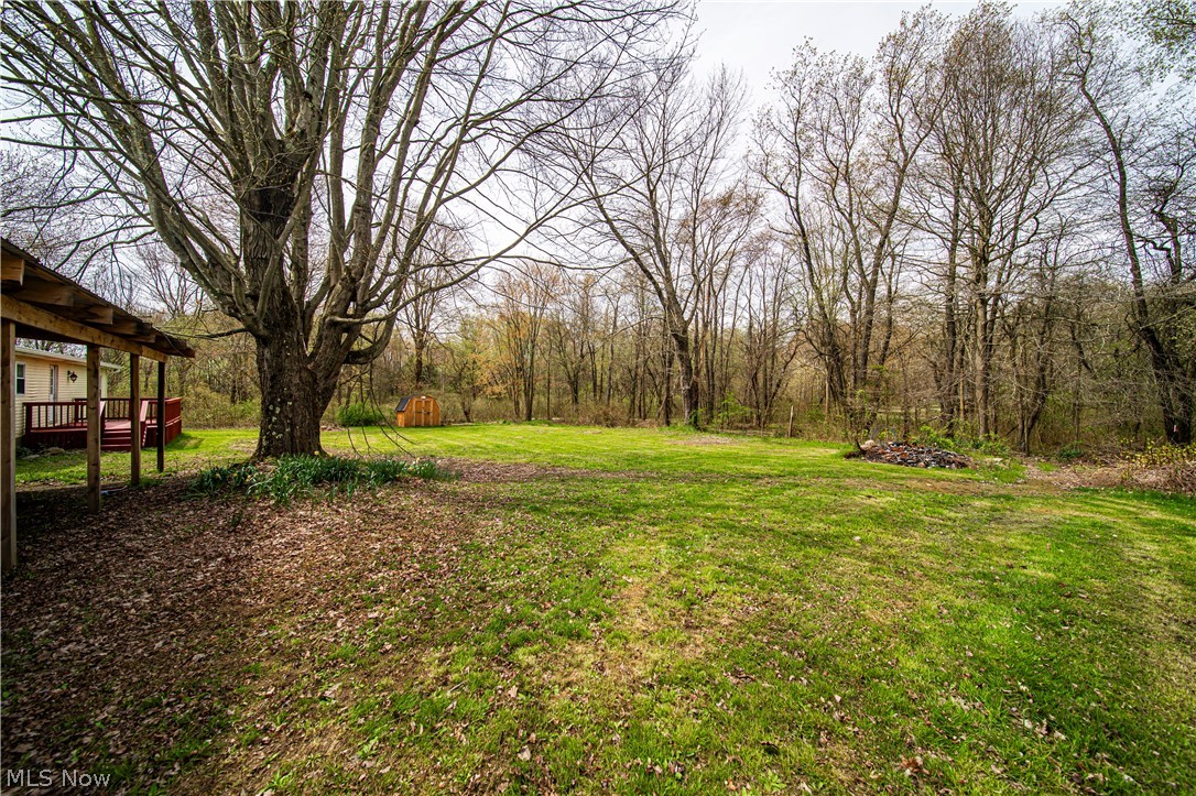 3501 Pymatuning Lake Road Andover, OH 44003 - Photo 7 of 36 View of yard
