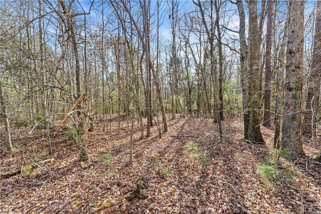 7140 Damascus Road Gainesville, GA 30506 - Photo 18 of 19