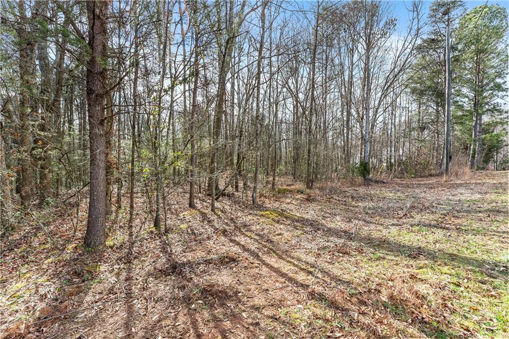 7140 Damascus Road Gainesville, GA 30506 - Photo 19 of 19