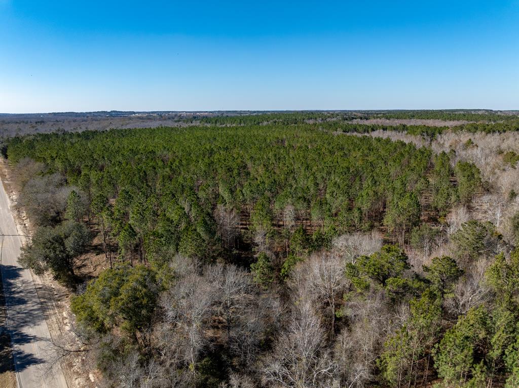 Lot 3-15 -ac Cottonwood Rd/ Phillips Road Cottonwood, AL 36320 - Photo 42 of 49