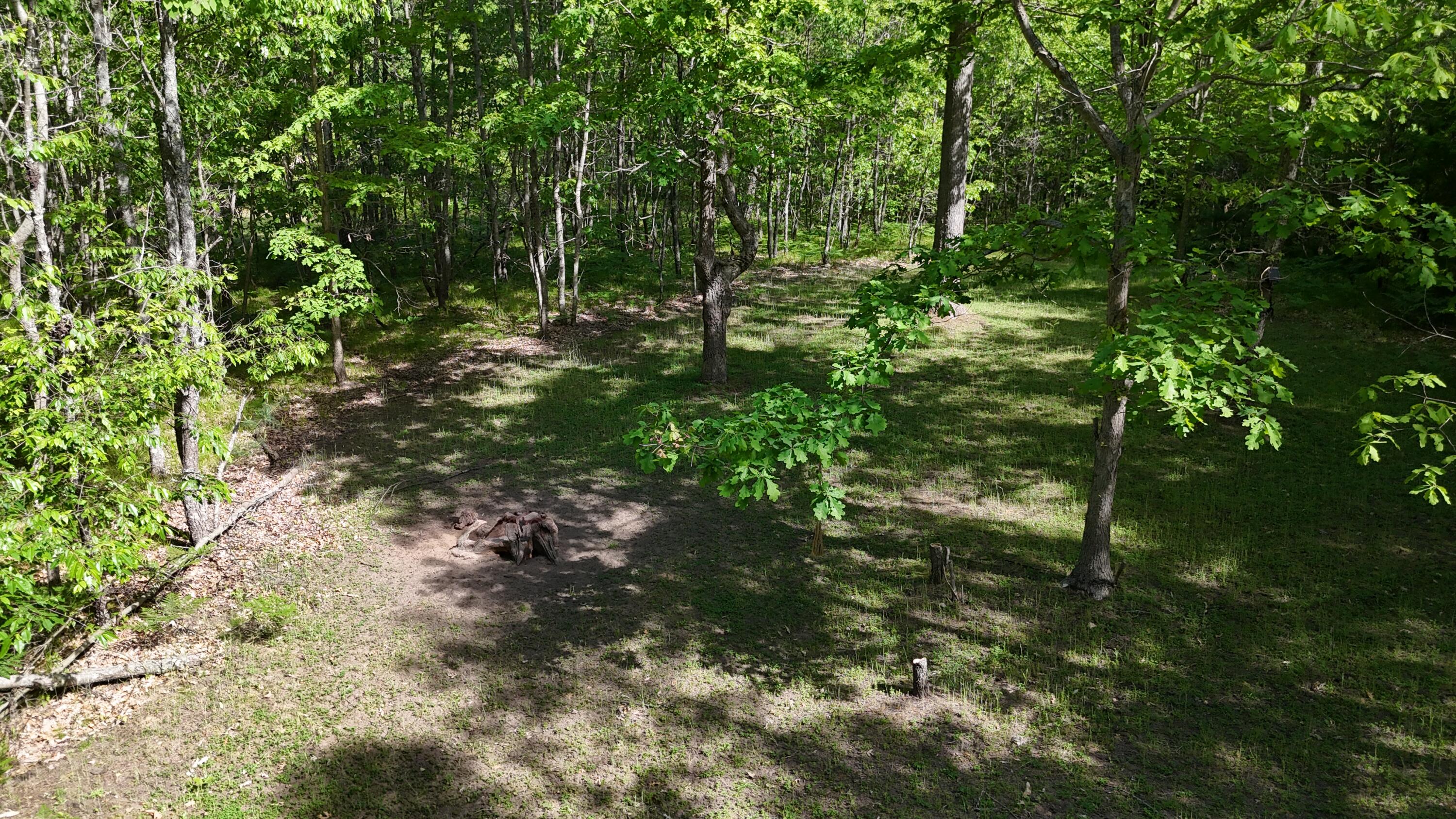 7 West Mile Road Irons, MI 49644 - Photo 47 of 49 DJI_20260604102612_0280_D