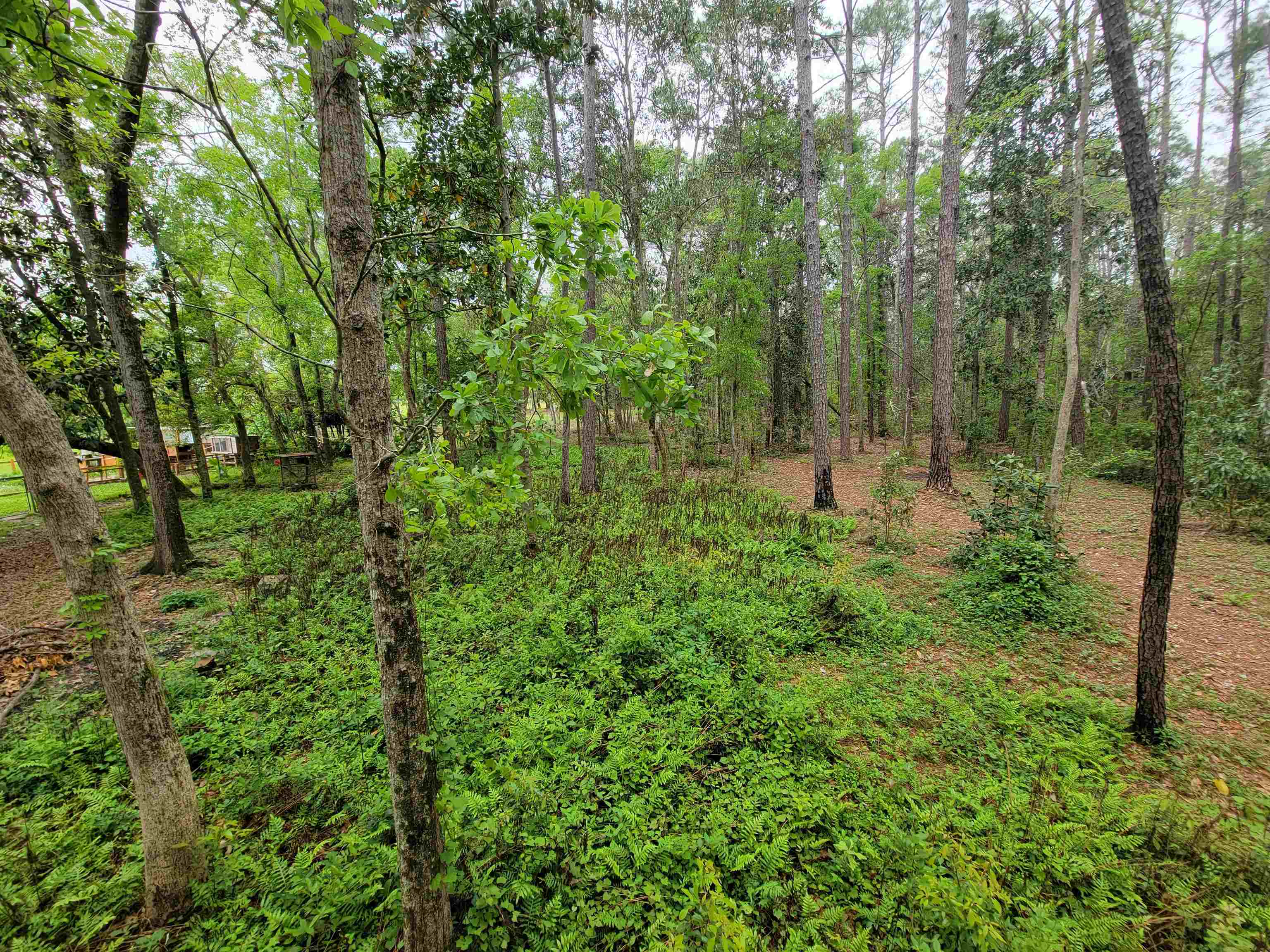 10 County Road Foley, AL 36535 - Photo 15 of 17
