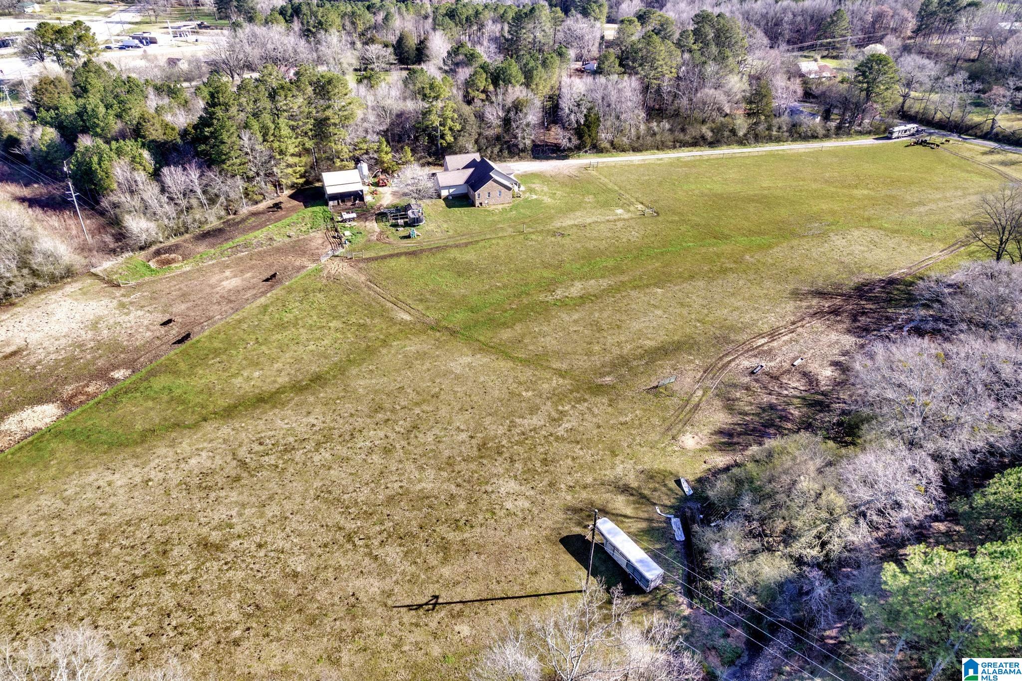 5353 Old Scott Road Blountsville, AL 35031 - Photo 37 of 41