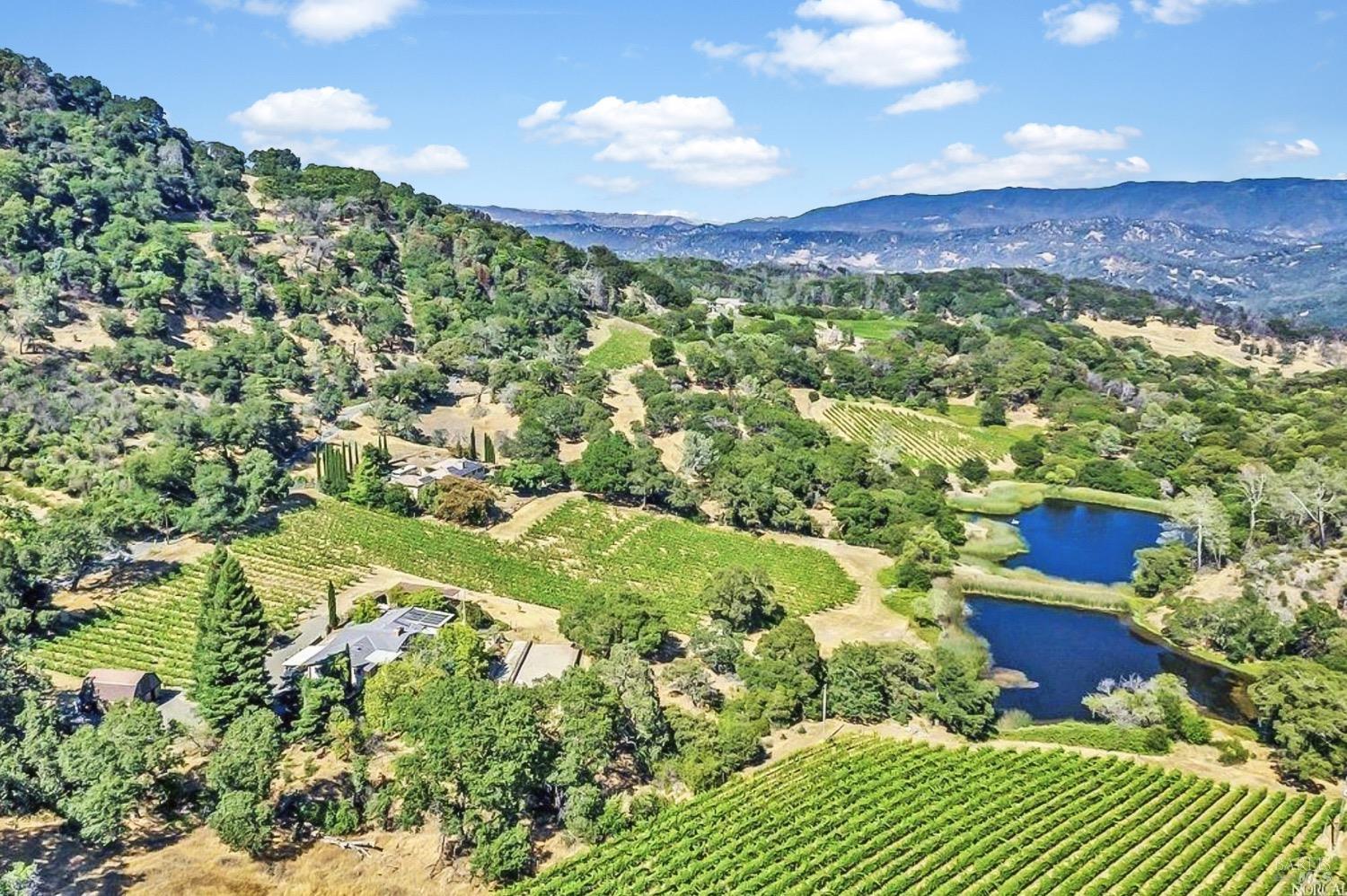 4080 Atlas Peak Road Napa, CA 94558 - Photo 4 of 59