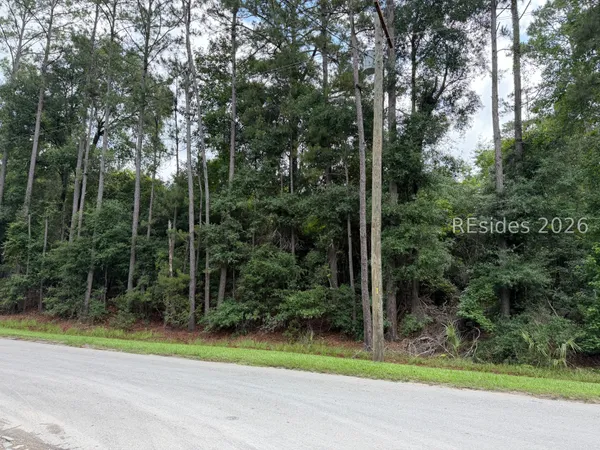 $300,000 | Tbd Lowcountry Drive, Ridgeland, SC 29936