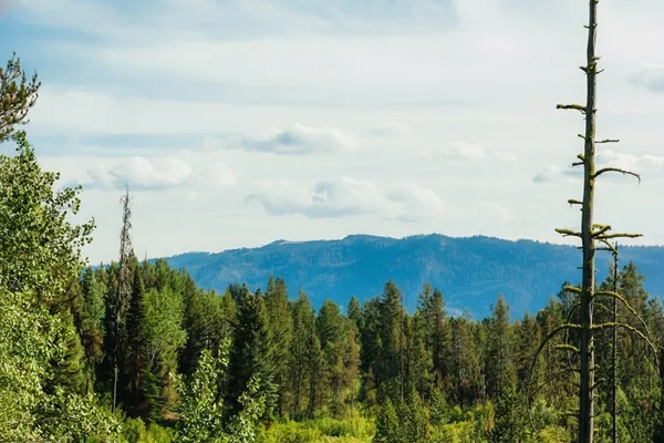 $225,000 | Lot 15 River Run Court, Unit 15, McCall, ID 83638