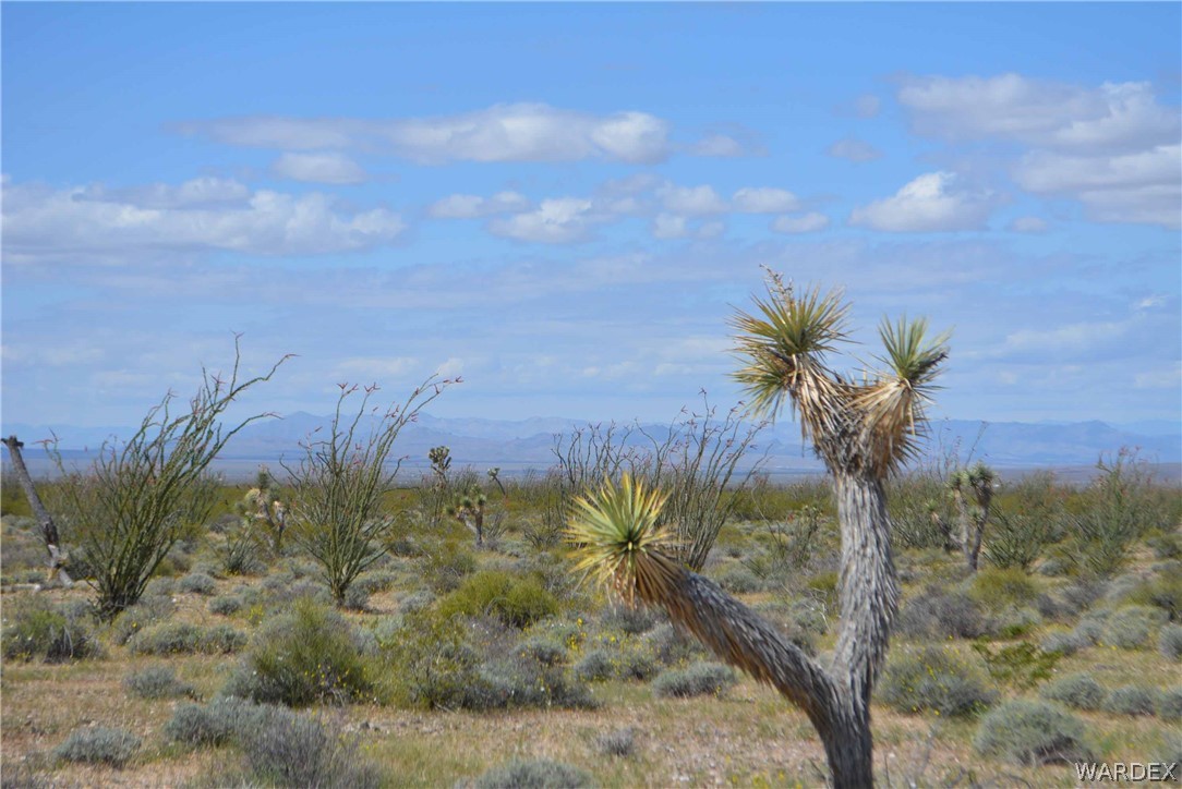 Lot C3 Ruby Road Yucca, AZ 86438 - Photo 1 of 49 a view of a yard
