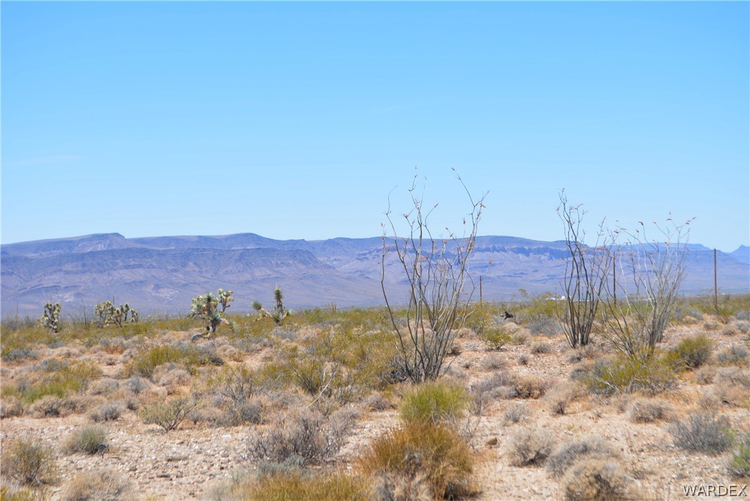 Lot C3 Ruby Road Yucca, AZ 86438 - Photo 12 of 49 a view of a backyard