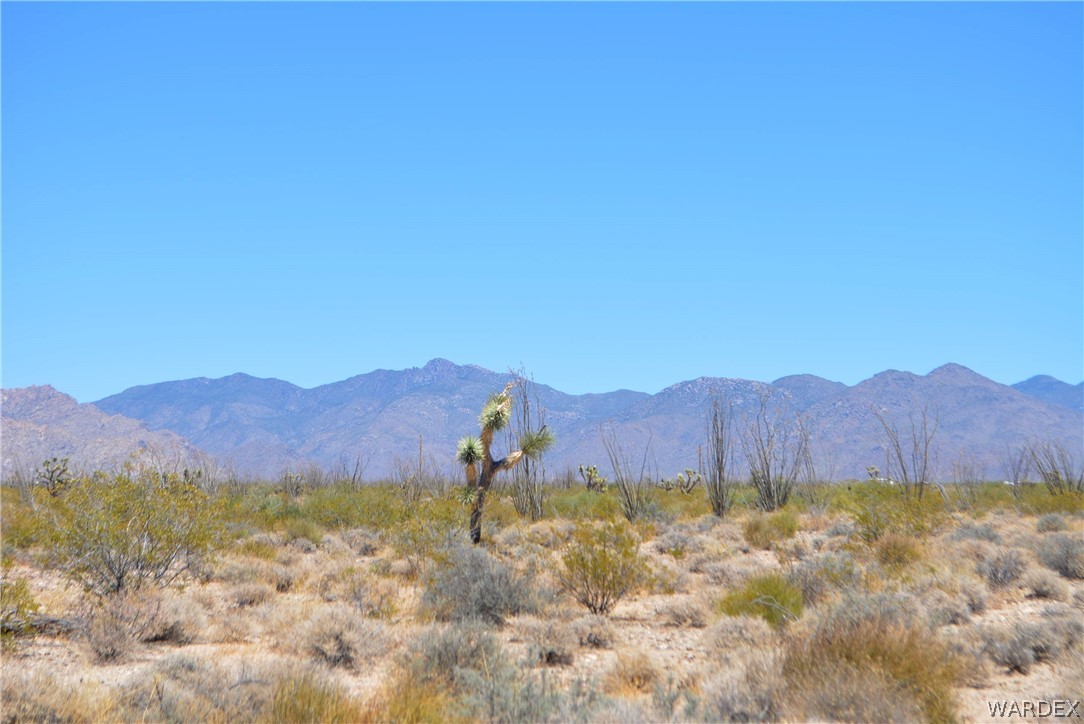 Lot C3 Ruby Road Yucca, AZ 86438 - Photo 20 of 49