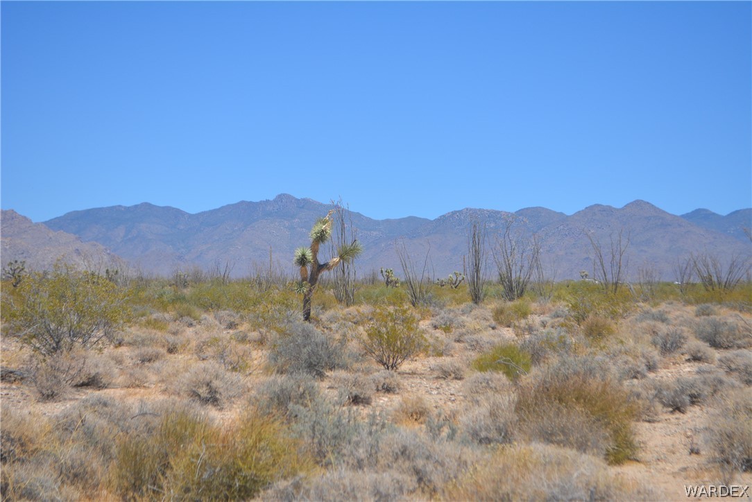 Lot C3 Ruby Road Yucca, AZ 86438 - Photo 25 of 49 a view of a lush green hillside and houses