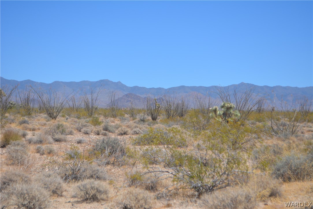 Lot C3 Ruby Road Yucca, AZ 86438 - Photo 27 of 49 a view of a lush green field with mountains in the background