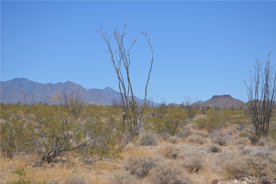 Lot C3 Ruby Road Yucca, AZ 86438 - Photo 29 of 49 a view of mountain with trees in the background
