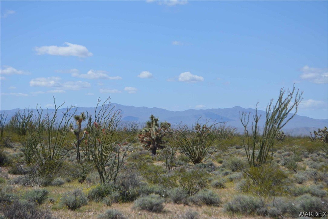 Lot C3 Ruby Road Yucca, AZ 86438 - Photo 37 of 49 a view of a city