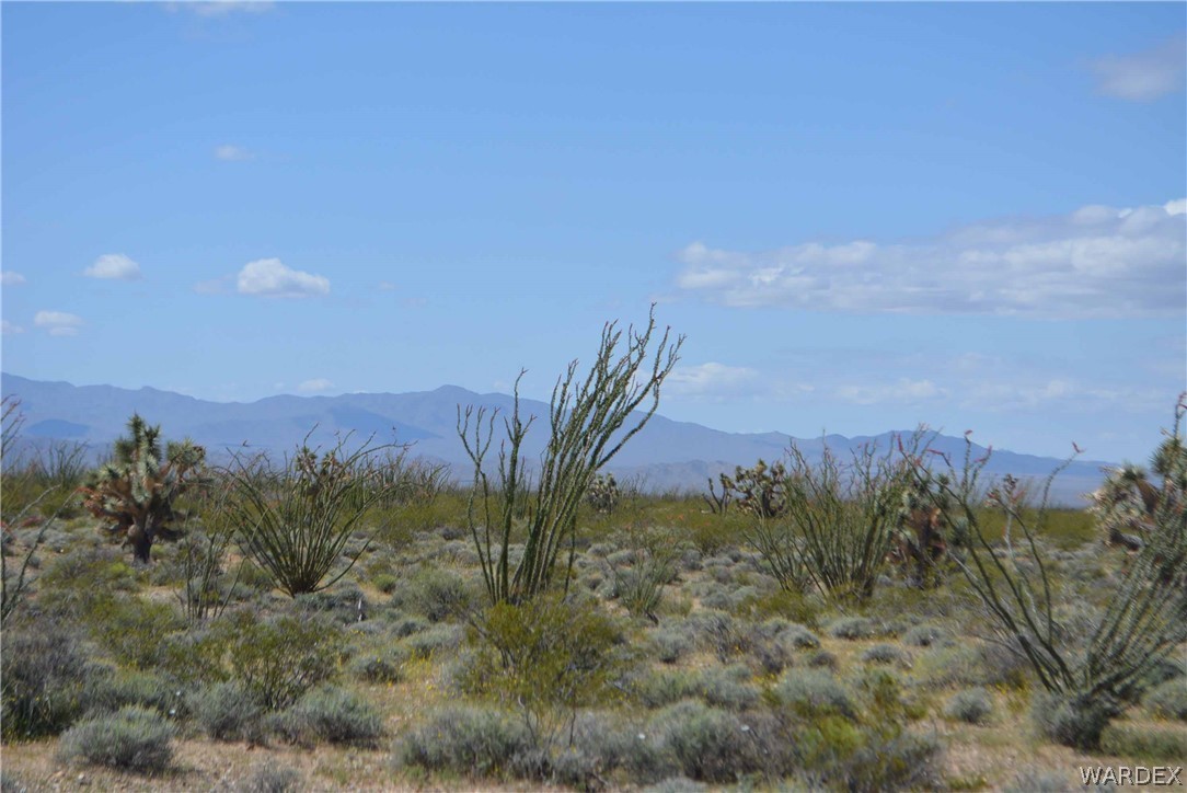 Lot C3 Ruby Road Yucca, AZ 86438 - Photo 38 of 49 a view of a field with a mountain in the background