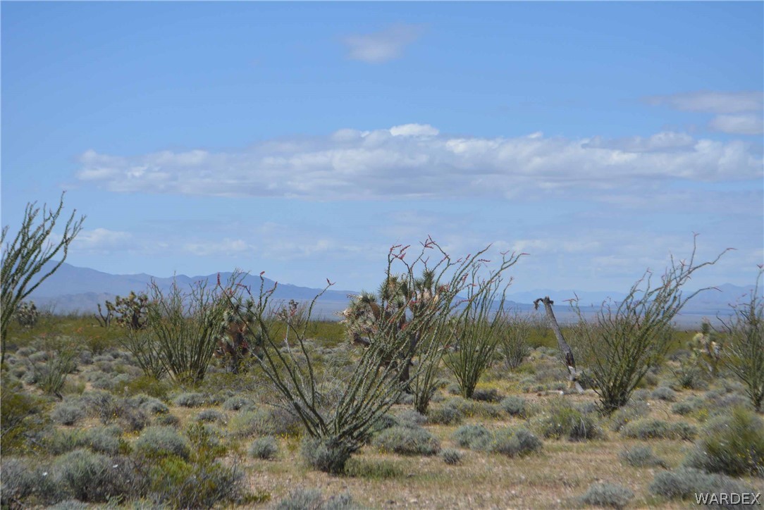 Lot C3 Ruby Road Yucca, AZ 86438 - Photo 39 of 49 a view of a field with a tree in the background