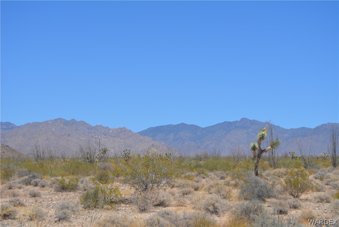 Lot C3 Ruby Road Yucca, AZ 86438 - Photo 4 of 49 a view of a town with mountains in the background