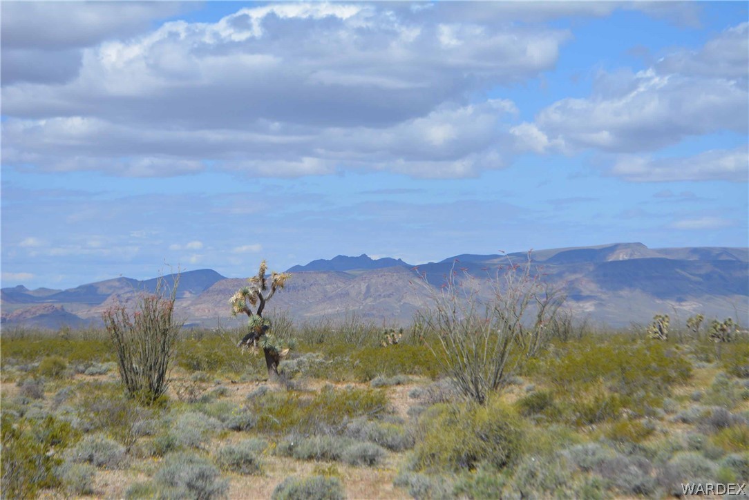 Lot C3 Ruby Road Yucca, AZ 86438 - Photo 41 of 49 a view of a dry yard with mountains in the background