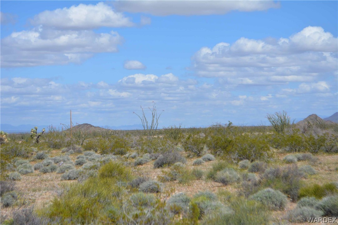 Lot C3 Ruby Road Yucca, AZ 86438 - Photo 44 of 49