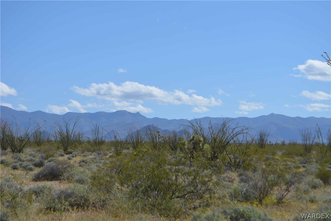 Lot C3 Ruby Road Yucca, AZ 86438 - Photo 48 of 49 a view of a lush green field