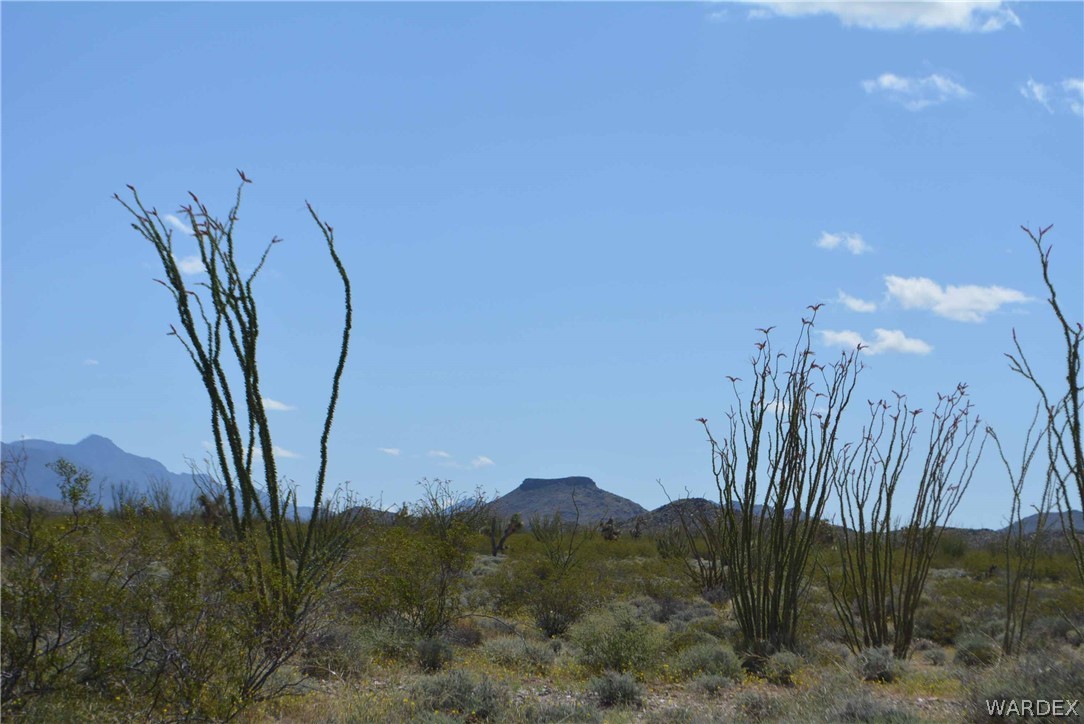Lot C3 Ruby Road Yucca, AZ 86438 - Photo 49 of 49 a view of a backyard of a house with a mountain