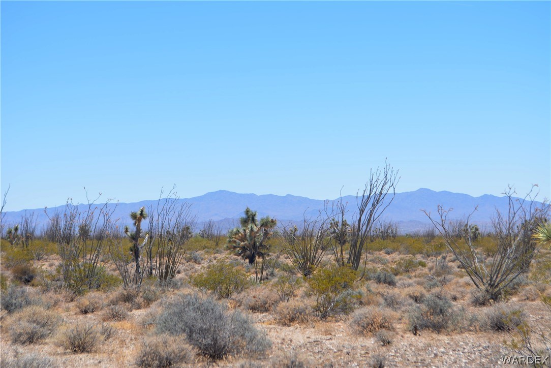 Lot C3 Ruby Road Yucca, AZ 86438 - Photo 6 of 49 a view of a lush green field