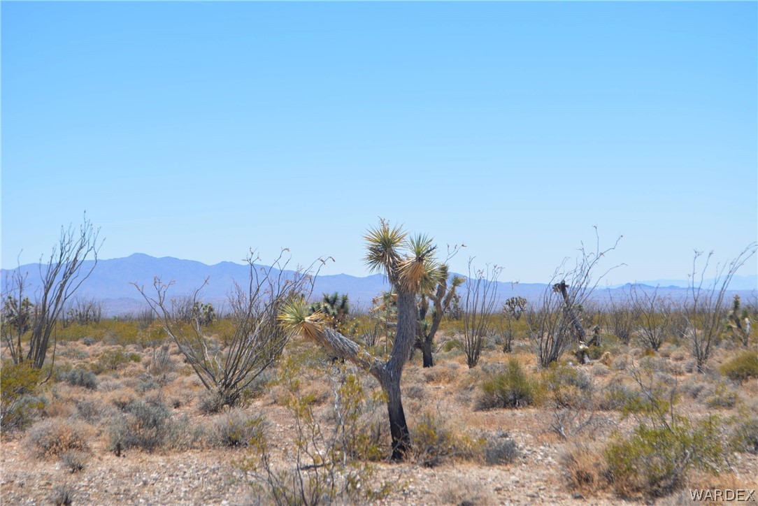 Lot C3 Ruby Road Yucca, AZ 86438 - Photo 7 of 49
